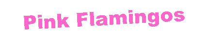Text Box: Pink Flamingos